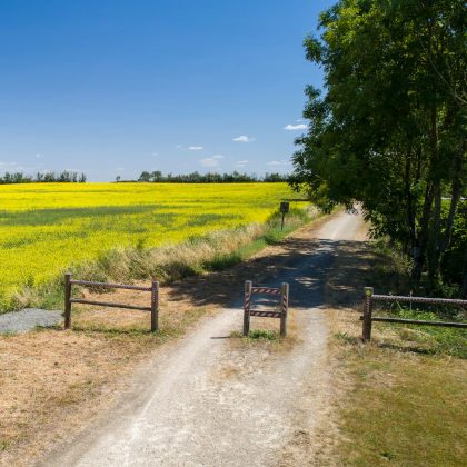 Voirie et Espaces Verts