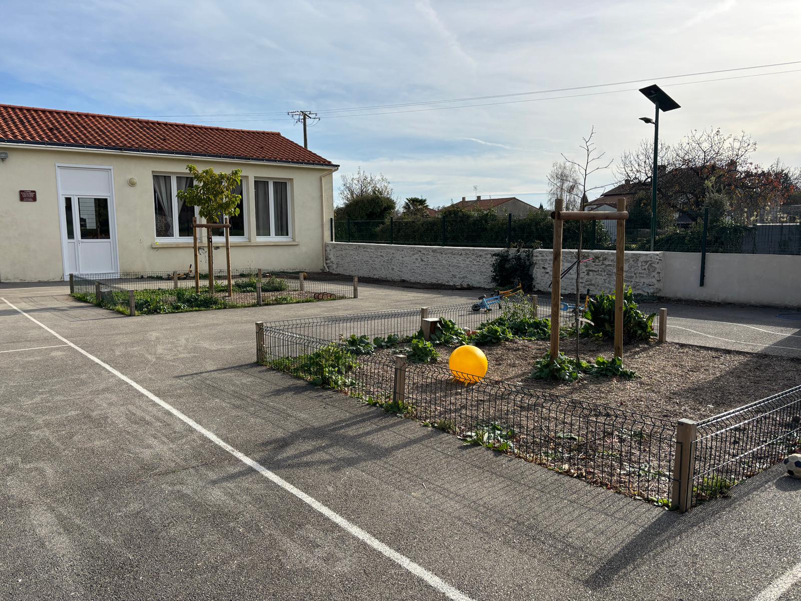 WhatsApp Image 2025-11-13 at 12.10.08 (1)